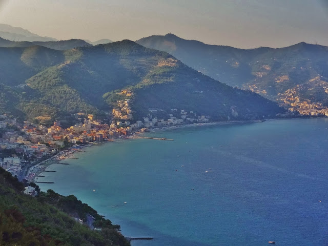 La imagen tiene un atributo ALT vacío; su nombre de archivo es 39b35-6.-cervo7.jpg