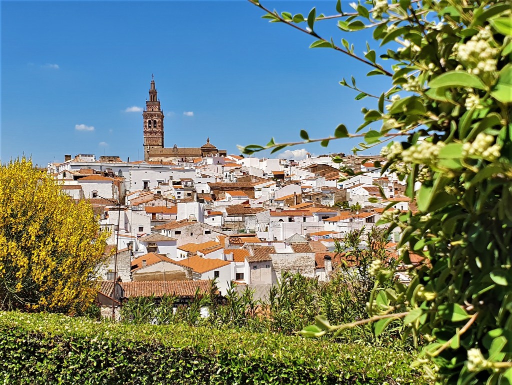 La imagen tiene un atributo ALT vacío; su nombre de archivo es 20190503_145516.jpg